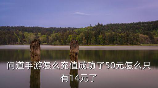 问道手游怎么充值成功了50元怎么只有14元了