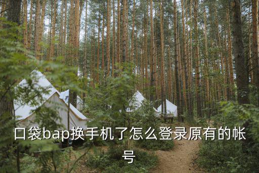 口袋bap换手机了怎么登录原有的帐号