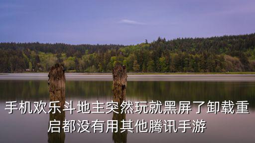 手机欢乐斗地主突然玩就黑屏了卸载重启都没有用其他腾讯手游