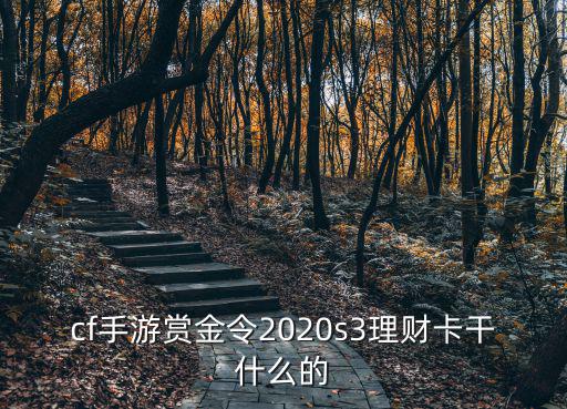 cf手游赏金令2020s3理财卡干什么的