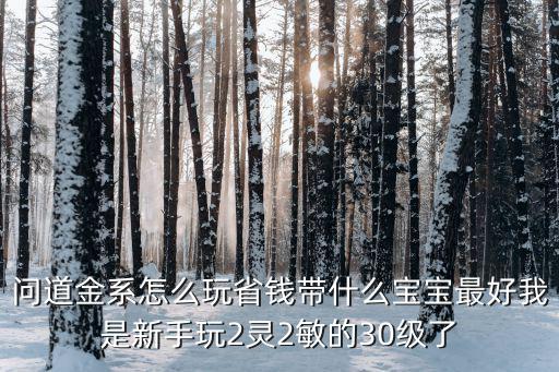 问道金系怎么玩省钱带什么宝宝最好我是新手玩2灵2敏的30级了