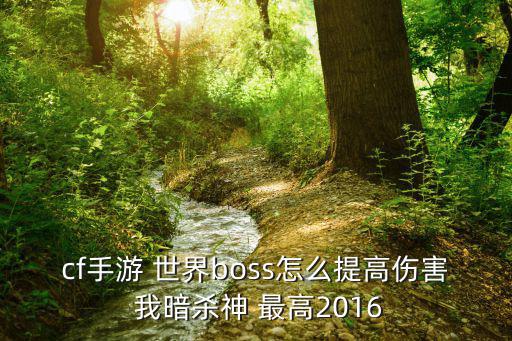 cf手游 世界boss怎么提高伤害 我暗杀神 最高2016