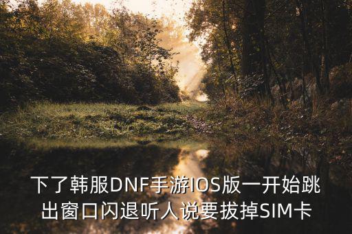 下了韩服DNF手游IOS版一开始跳出窗口闪退听人说要拔掉SIM卡