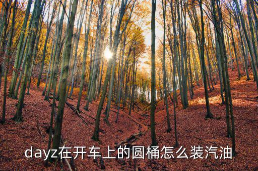 dayz在开车上的圆桶怎么装汽油