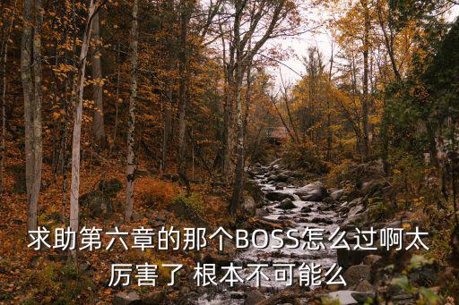 求助第六章的那个BOSS怎么过啊太厉害了 根本不可能么