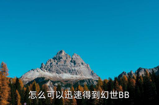 怎么可以迅速得到幻世BB