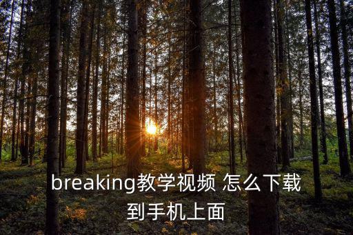 breaking教学视频 怎么下载到手机上面