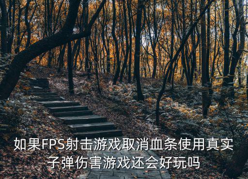 如果FPS射击游戏取消血条使用真实子弹伤害游戏还会好玩吗