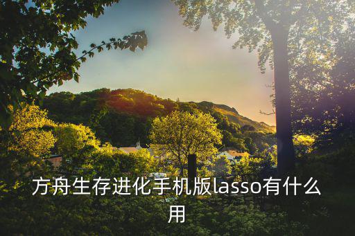 方舟生存进化手机版lasso有什么用