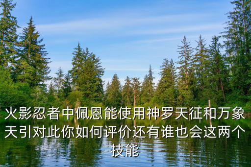 火影忍者中佩恩能使用神罗天征和万象天引对此你如何评价还有谁也会这两个技能