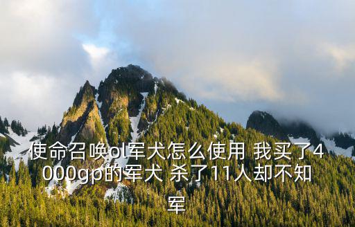 使命召唤ol军犬怎么使用 我买了4000gp的军犬 杀了11人却不知军