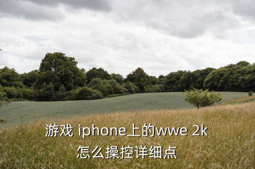 游戏 iphone上的wwe 2k怎么操控详细点