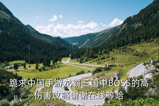 跪求中国手游龙霸三国中BOSS的高伤害攻略谢谢在线等哈