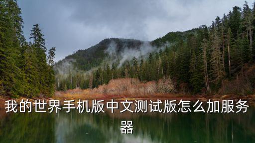 我的世界怎么玩测试服手游，我的世界手机版中文测试版怎么加服务器