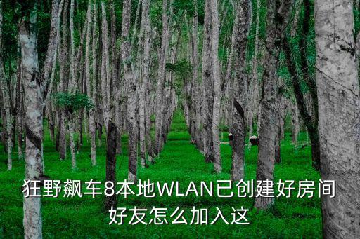 狂野飙车8本地WLAN已创建好房间好友怎么加入这