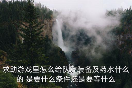 求助游戏里怎么给队友装备及药水什么的 是要什么条件还是要等什么