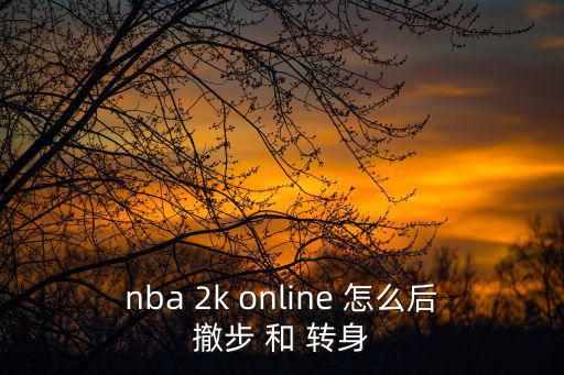 nba 2k online 怎么后撤步 和 转身