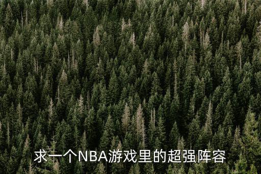 求一个NBA游戏里的超强阵容