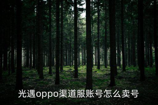 光遇oppo渠道服账号怎么卖号