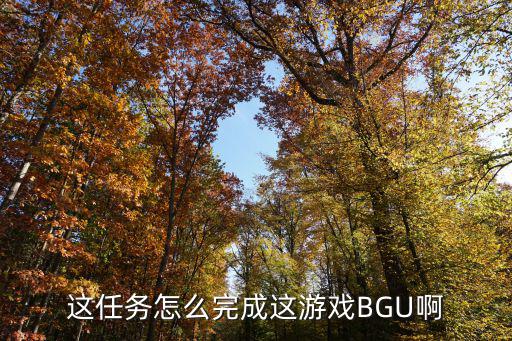 这任务怎么完成这游戏BGU啊