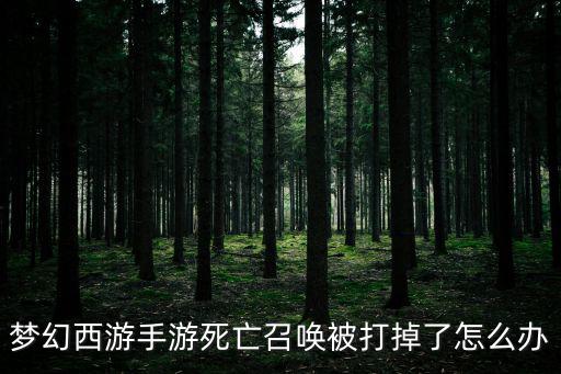 梦幻西游手游死亡召唤被打掉了怎么办