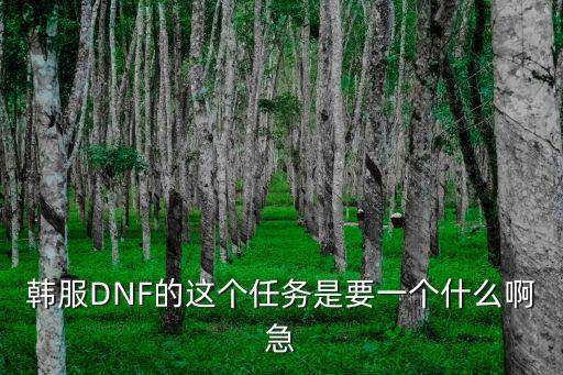 韩服DNF的这个任务是要一个什么啊急