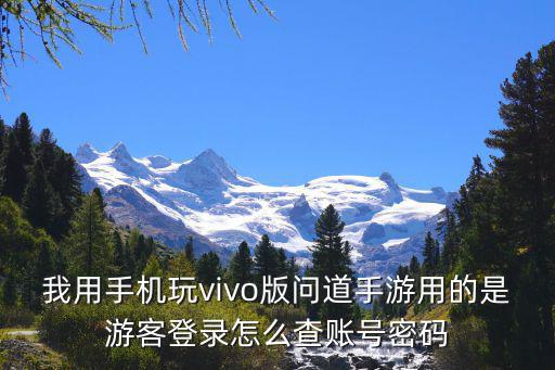 我用手机玩vivo版问道手游用的是游客登录怎么查账号密码