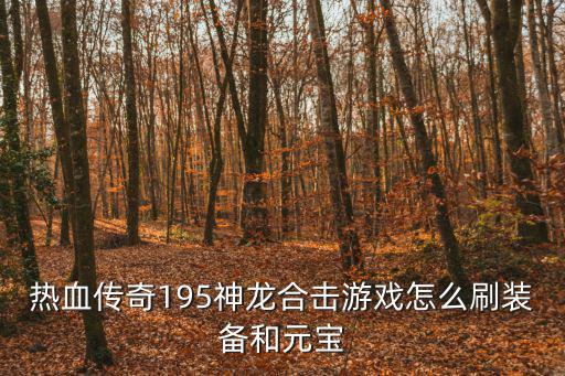 热血传奇195神龙合击游戏怎么刷装备和元宝