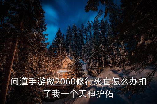 问道手游怎么看天神护佑，问道手游做2060修行死亡怎么办扣了我一个天神护佑