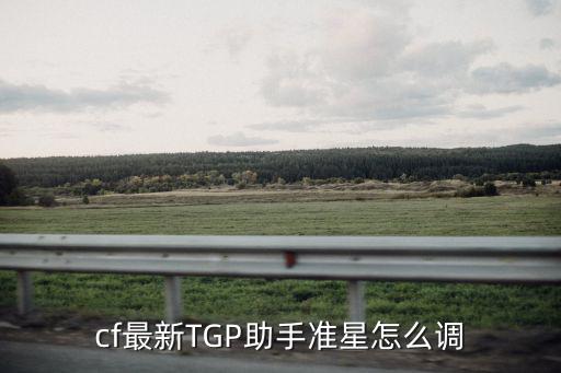 cf最新TGP助手准星怎么调