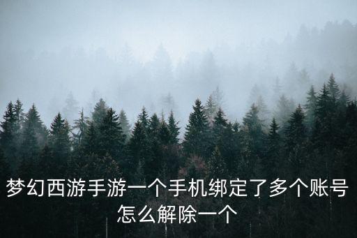 梦幻西游手游一个手机绑定了多个账号怎么解除一个