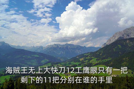 海贼王无上大快刀12工鹰眼只有一把剩下的11把分别在谁的手里