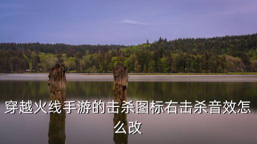 cf手游枪的音效怎么变了，为啥穿越上的枪声音效效没了在哪里调制