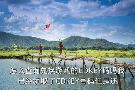 怎么查询兑换游戏的CDKEY码吗我已经领取了CDKEY号码但是还