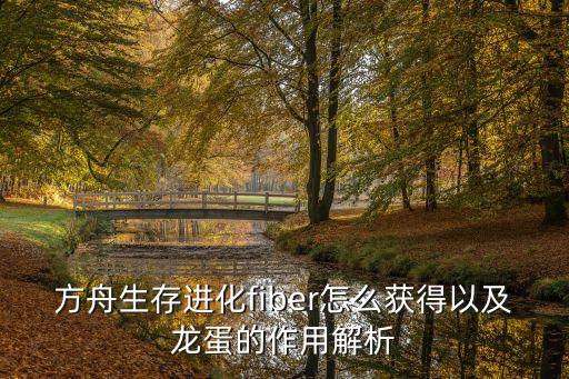 方舟生存进化fiber怎么获得以及龙蛋的作用解析