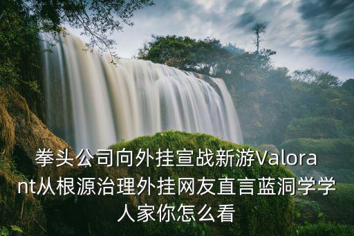 怎么下载valorant手游，valorant领取到过后怎么下载这么慢