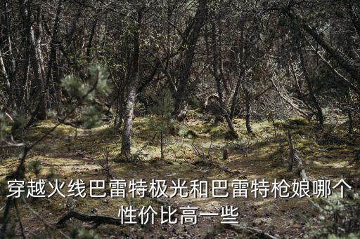 穿越火线巴雷特极光和巴雷特枪娘哪个性价比高一些