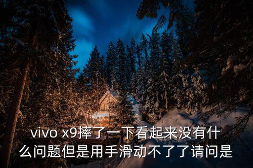 vivo x9摔了一下看起来没有什么问题但是用手滑动不了了请问是