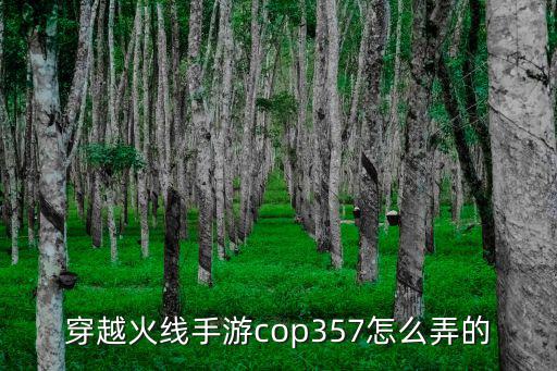 穿越火线手游cop357怎么弄的