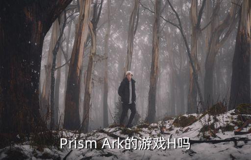 Prism Ark的游戏H吗