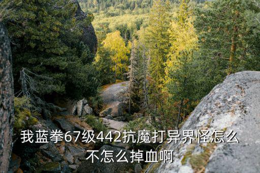 我蓝拳67级442抗魔打异界怪怎么不怎么掉血啊