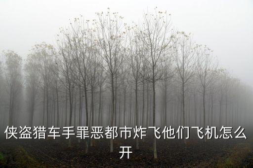 罪恶都市手游怎么开飞机场，请问侠盗猎车罪恶都市怎么开机场飞机 好想有个文件