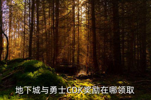 dnf手游怎么到官网领取cdk，地下城与勇士CDK奖励在哪领取