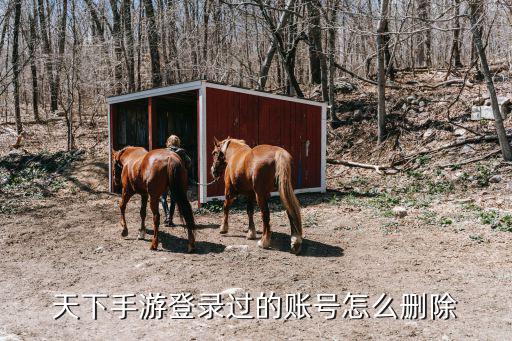 手游怎么删除账号，天下手游登录过的账号怎么删除