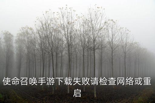 使命召唤手游更新完怎么重启，使命召唤手游下载失败请检查网络或重启