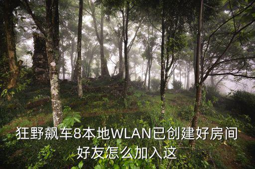 狂野飙车8手游怎么加好友，狂野飙车8如何和自己的朋友联机玩