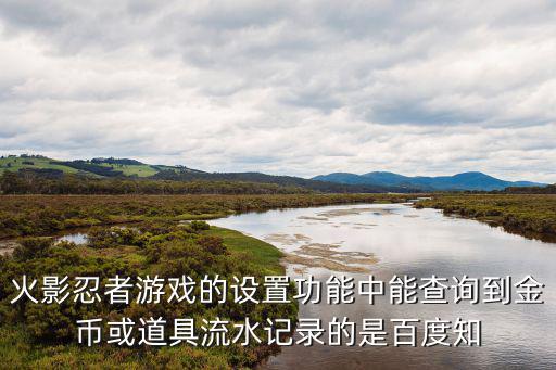 火影忍者游戏的设置功能中能查询到金币或道具流水记录的是百度知