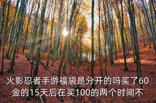 火影忍者手游福袋是分开的吗买了60金的15天后在买100的两个时间不