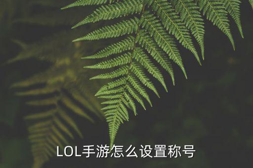 LOL手游怎么设置称号