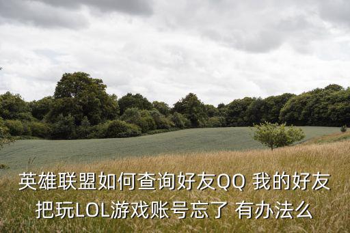 英雄联盟手游游戏外怎么查看好友，英雄联盟怎么回复游戏外的好友